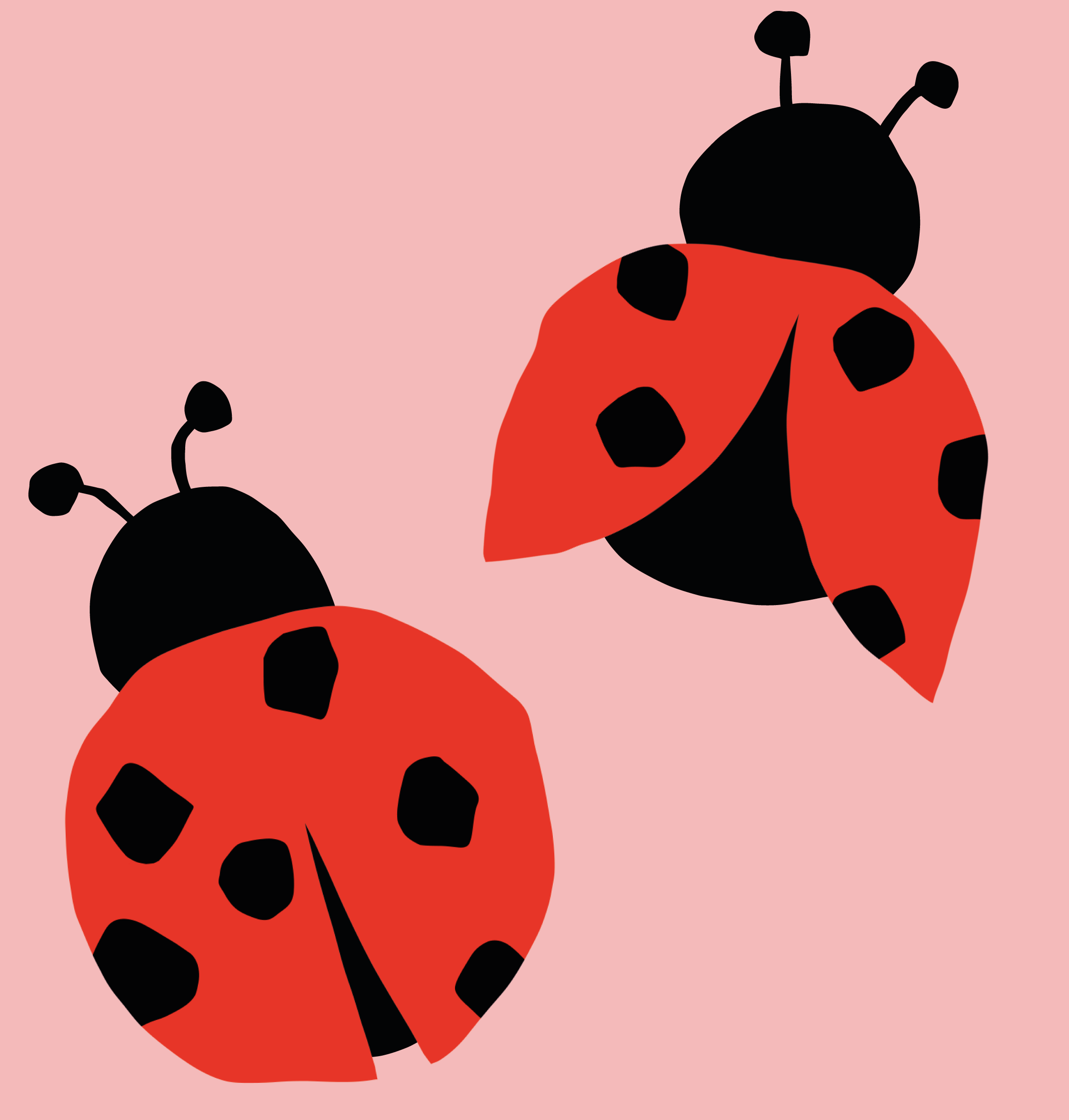 0921-PD-Ladybug-02