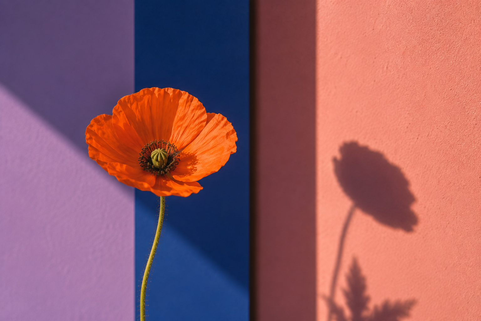 MORNING GARDEN - color story - farbinspiration - farbpalette 05